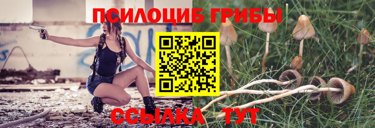 Обь  Псилоцибиновые грибы GOLDEN TEACHER  Галлюциногенные грибы мицелий  Вход с VPN 