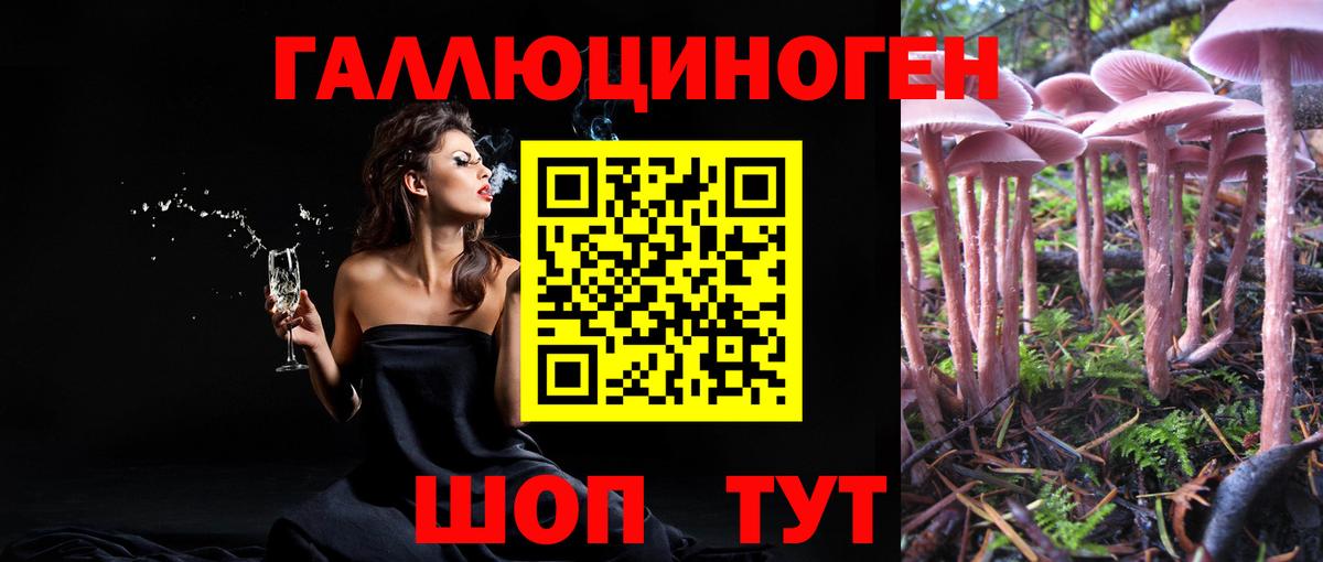 Галлюциногенные грибы мухоморы Обь